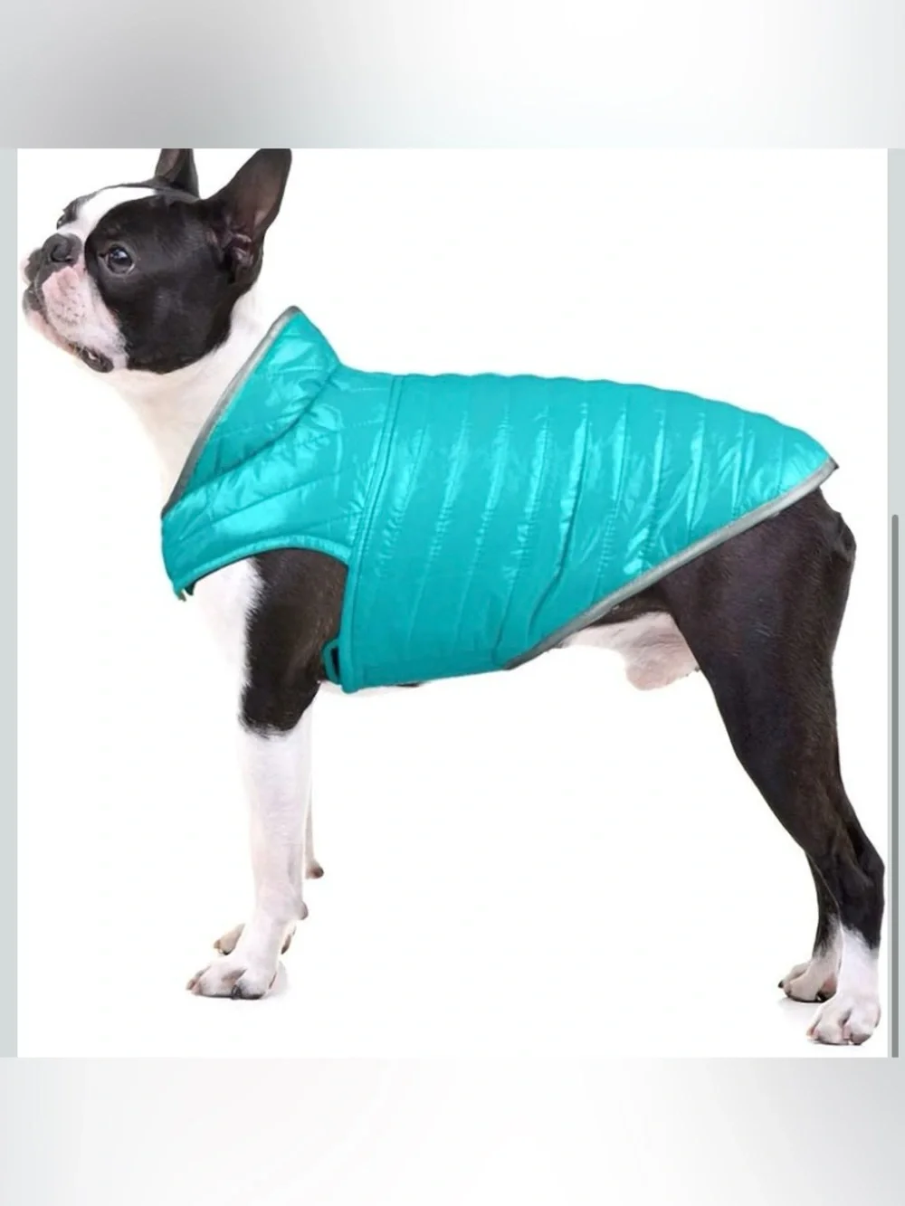 NWOT Quilted Reversable Dog Coat M R95